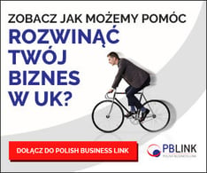 PBlink_new_website_promo_PL_300X250