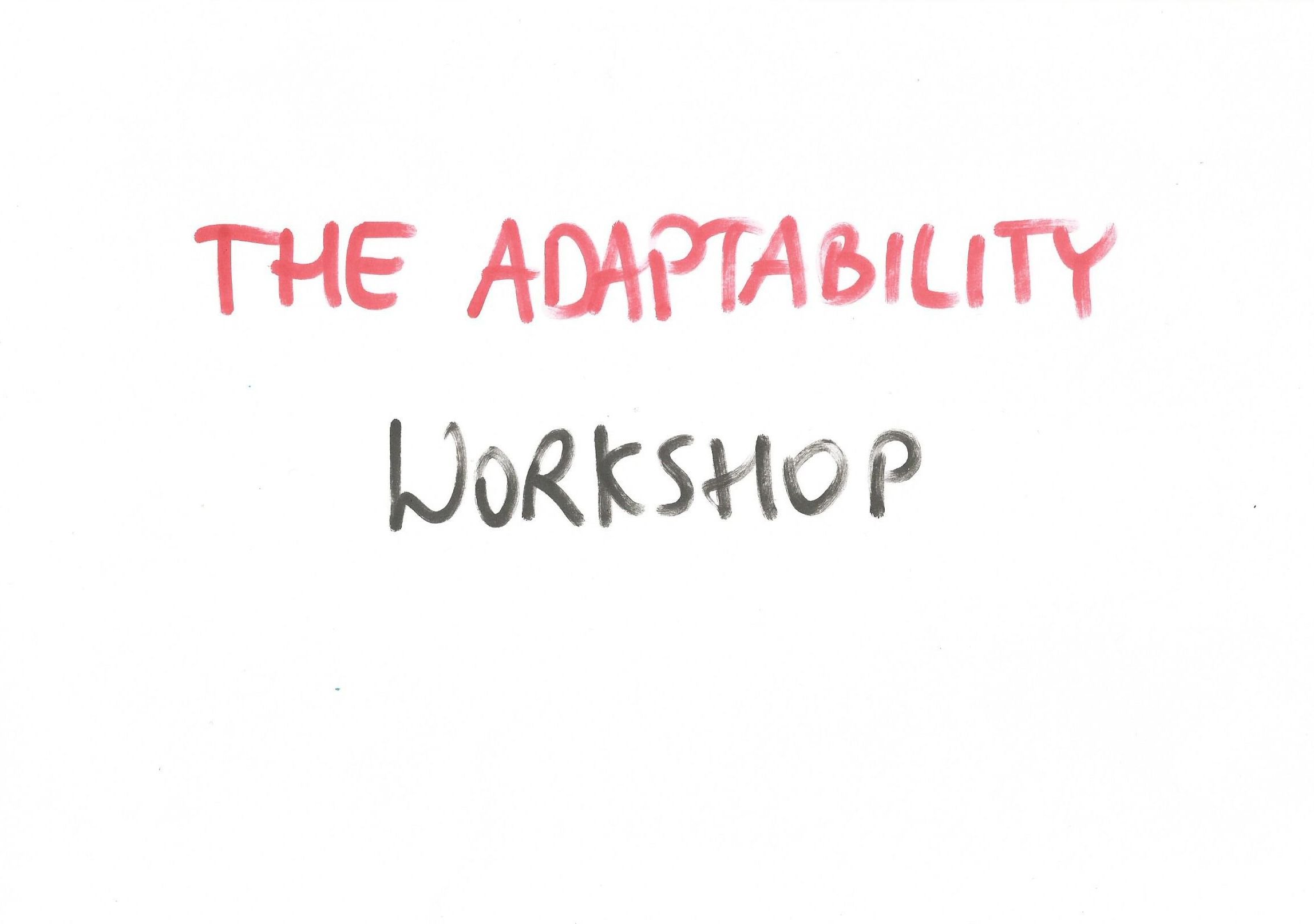 The adaptability Workshop by Witold Wisniewski