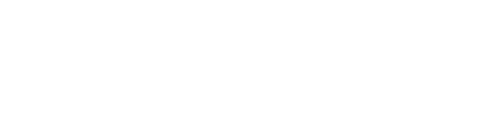 pblink-logo-white pblink-logo-white